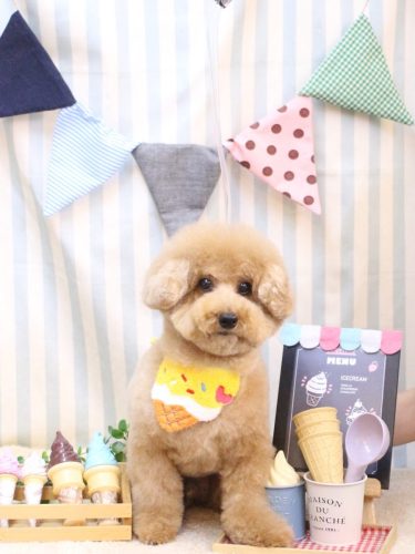 20250517かんたくん